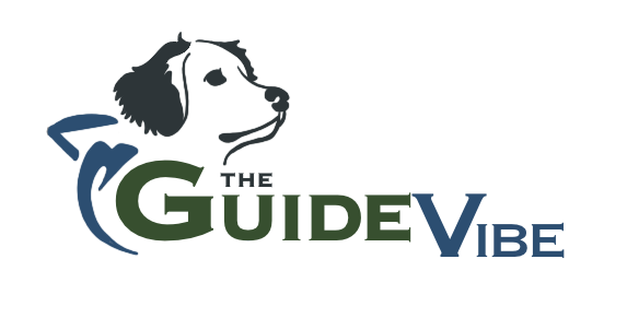 The Guide Vibe